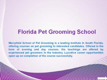 Dog Grooming School