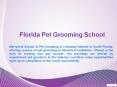 Dog Grooming School PowerPoint PPT Presentation