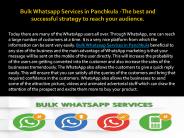 Bulk Whatsapp Services in Panchkula