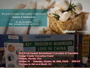 The Ultimate Guide To Mushroom Spawn Suppliers.