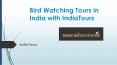 Bird Watching Tours in India with IndiaTours