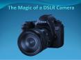 The Magic of a DSLR Camera PowerPoint PPT Presentation