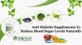 Anti Diabetic Supplements to Reduce Blood Sugar Levels Naturally PowerPoint PPT Presentation