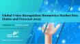 Global Voice Recognition Biometrics Market Size, Status and Forecast 2025 (1) PowerPoint PPT Presentation