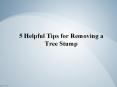 5 Helpful Tips for Removing a Tree Stump - Northern Tree Services PowerPoint PPT Presentation