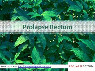 Prolapse Rectum Treatment in India- Prolapserectum.com