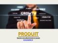 Produit – Best Business Consultant in Canada PowerPoint PPT Presentation