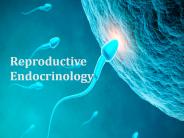 Reproductive Endocrinology - IVFLA Fertility Clinic