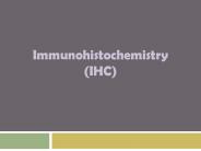 Need To Know About Immunohistochemistry Blocking | Immunostaining