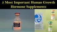 5 Most Important Human Growth Hormone Supplements