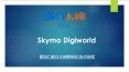 Digital Marketing Agency in Pune| Online Marketing Company in Pune| Skymo Digiworld PowerPoint PPT Presentation