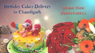 Birthday Cake Delivery in Chandigarh