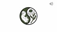Chinese Medicine - A Health Care System