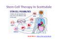 Stem Cell Therapy PowerPoint PPT Presentation