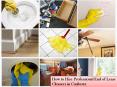 Explore Profession End of Lease Cleaning Company in Canberra PowerPoint PPT Presentation