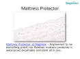 Mattress Protector For Queen Bed at Naptime PowerPoint PPT Presentation