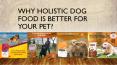Why Holistic Dog Food Is Better For Your Pet? PowerPoint PPT Presentation