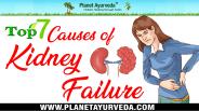Top 7 Chronic Renal Failure Causes