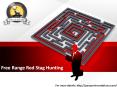 Free Range Red Stag Hunting PowerPoint PPT Presentation