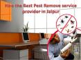 Hire the Best Pest Remove service provider in Jaipur PowerPoint PPT Presentation