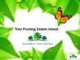 Tree Pruning Staten Island PowerPoint PPT Presentation