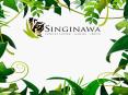 Kanha Jungle Lodge, Luxury Hotel & Resort in Kanha National Park at Singinawa PowerPoint PPT Presentation