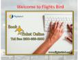 Book You Direct Flights From Newark (EWR) To Chicago (ORD) PowerPoint PPT Presentation