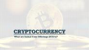 What are Initial Coin Offerings | Platinum Trading Institute
