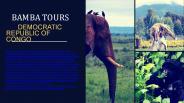 Congo Gorilla Trekking Tours