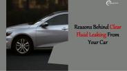 Reasons Behind Clear Fluid Leaking From Your Car