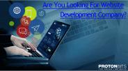 Website Application Development Company - ProtonBits