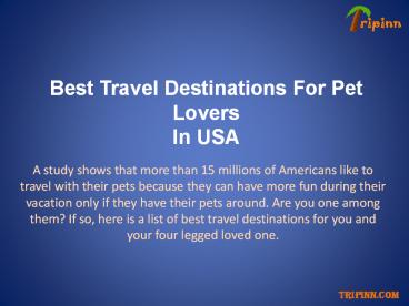 Pet friendly destinations in usa