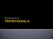 Best tour operators in kerala