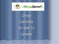 Cheap Cannabis for Sale In Canada by Marys Secret