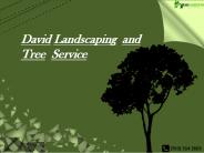 Most Excellent Tree Services | Springfield, VA
