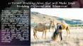 11 Desert Wedding Ideas that will Make Your Wedding Different and Whimsical PowerPoint PPT Presentation