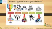 Supply Chain Management Solution PowerPoint PPT Presentation