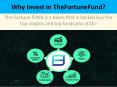 Why Invest in Thefortunefund? PowerPoint PPT Presentation
