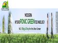 hydroponics plants in delhi-ponicgreen-Roof top gardening in delhi PowerPoint PPT Presentation