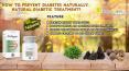 How to Prevent Diabetes Naturally, Natural Diabetic Treatment? PowerPoint PPT Presentation