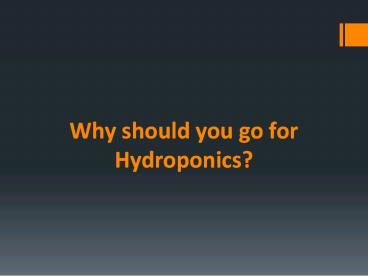 Why Should you go for Hydroponics