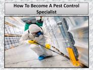 How to Become a Pest Control Specialist