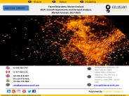 Flame Retardants Market Outlook  2025: Growth Opportunity And Demand Analysis,  Market Forecast, 2017-2025