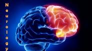 Best Neurology Jobs in the UK!
