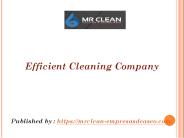 Efficient Cleaning Company