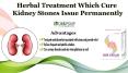 Herbal Treatment Which Cure Kidney Stones Issue Permanently