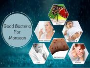 Good Bacteria For Monsoon