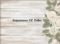 Importance of Pallet PowerPoint PPT Presentation