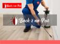 back 2 no pest control sydney PowerPoint PPT Presentation