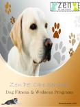 Dog Fitness & Wellness Program PowerPoint PPT Presentation